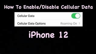 Image result for How to Restrict Cellular Data On iPhone 7