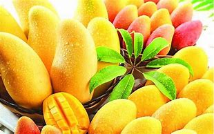Image result for mango