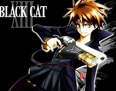 Image result for Evil Black Cat Anime