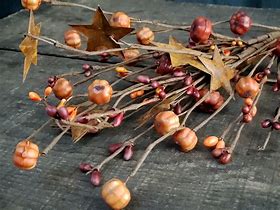 Image result for Fall Berry Picks