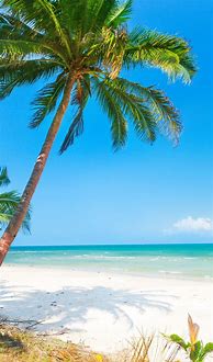 Image result for Mobile Phone Wallpaper Beach