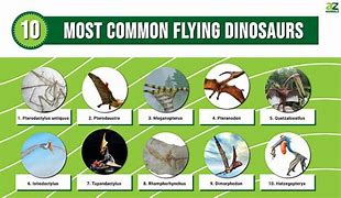 Image result for Dinosaurs Big List