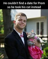 Image result for Cat Mood Meme