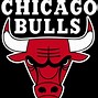 Image result for Chicago Bulls Words Logos