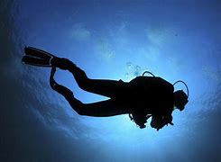 Image result for Scuba