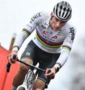 Image result for Mathieu Van Der Poel Mullet