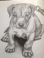 Image result for Cool Drawings of Pitbull Dogs