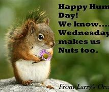 Image result for Wednesday Squirrel Meme