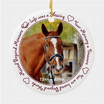 Image result for Deceased Horse Memory Cup