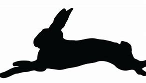 Image result for Rabbit Profile Clip Art