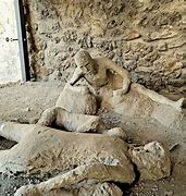 Image result for Pompeii Bodies Today