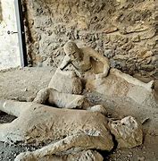 Image result for Human Body Casts Pompeii