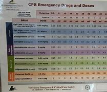 Image result for Veterinary CPR Medication Dosage Chart