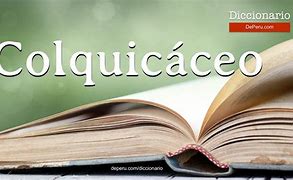 Image result for colquic�ceo