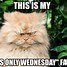 Image result for wednesday tired memes coffee