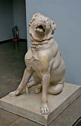 Image result for Biggest Extinct Dog in the World