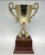 Image result for Oversized Award Cup