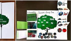 Image result for Family Tree Lapbook