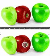 Image result for Apple and Android Animated Form