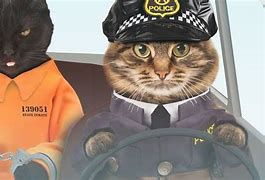 Image result for Police Officer Cat