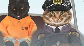 Image result for Officer Cat Meme