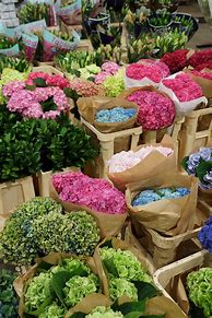 Image result for Local Flowers of Jharkhand