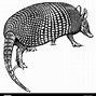 Image result for AM Using Armadillo