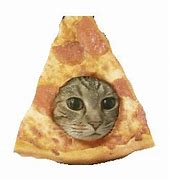 Image result for Cat Eating Chips Discord Emoji