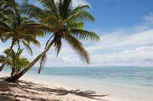 Image result for Beach Scene Posters