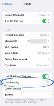Image result for Data Roaming On or Off
