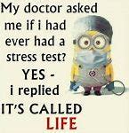 Image result for Minion Sayings