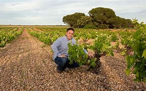 Image result for Jorge+Ordonez+Co+Malaga+ 233+Old+Vines