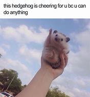 Image result for Wholesome Animal Memes