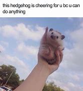 Image result for wholesome meme