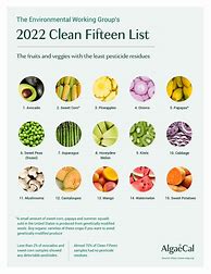 Image result for Dirty Dozen Clean 15