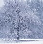 Image result for Windows 95 Screensaver with Snow Falling