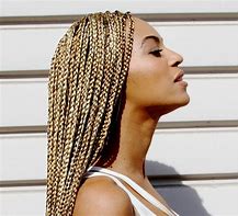Image result for Beyoncé Jumbo Braid