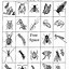 Image result for Insects Worksheet Grade 2 Black and White