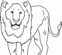 Image result for Lion Cartoon Black White
