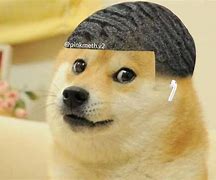 Image result for Dog with Waves Meme