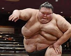 Image result for Sumo Wrestler Weight