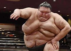 Image result for Black Sumo Wrestler