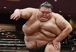 Image result for Sumo Wrestling Fat Suits