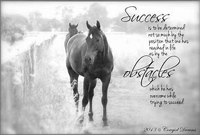Image result for Inspiring Horse Quotes