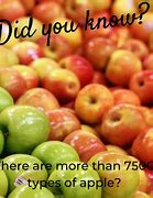 Image result for Apple 7500 Types