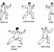 Image result for Tai Chi Wu Family