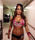 Image result for WWE Nikki Bella Wrestling Fearless