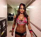 Image result for Nikki Bella Stay Fearless