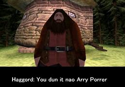 Image result for PS1 Hagrid Meme