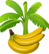 Image result for Banana Graphic